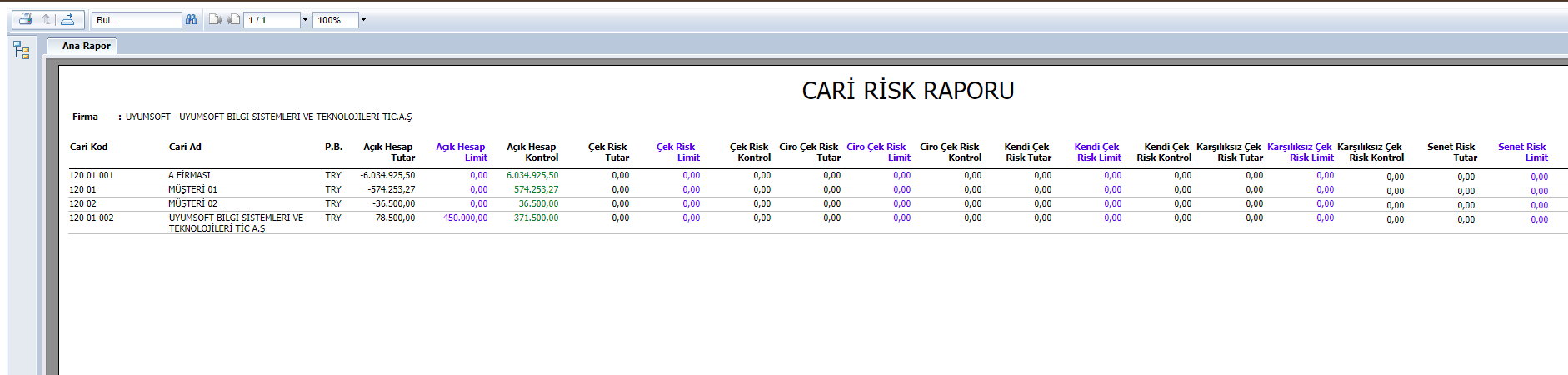 FIN4061 CARİ RİSK RAPORU 1